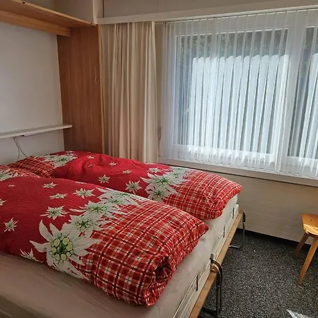 Beautiful In Davos Appartement *